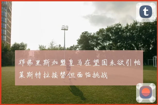 邓弗里斯加盟皇马在望国米欲引帕莱斯特拉接替但面临挑战